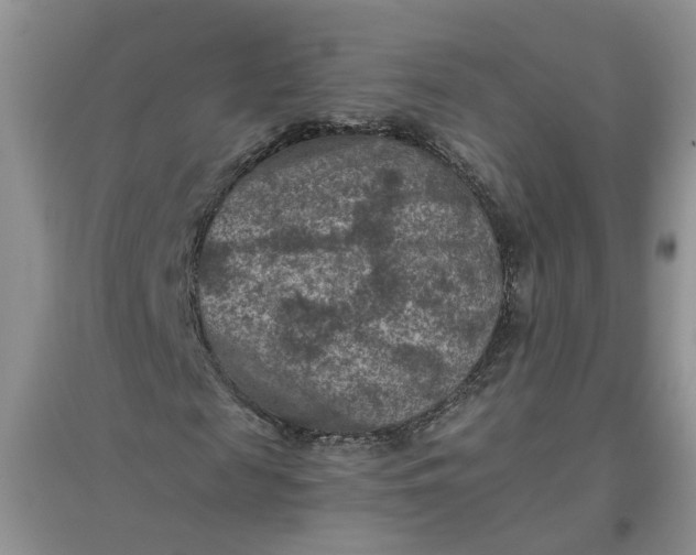 X0000097660817200803142130
