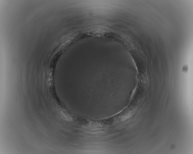 X0000097660818200803142130