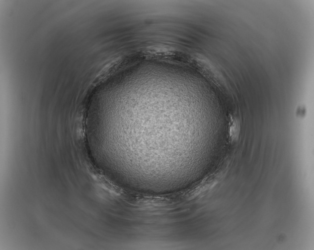 X0000097660819200803142130