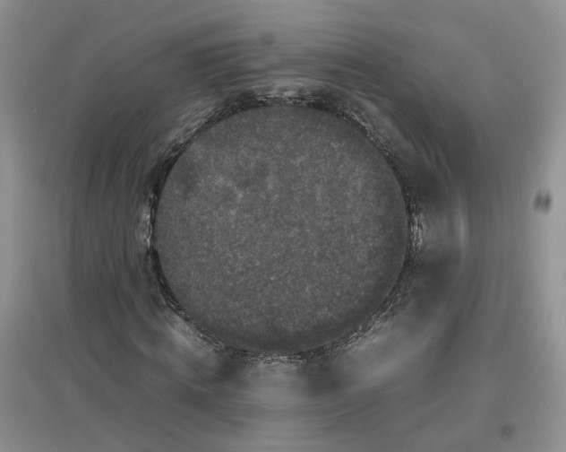 X0000097660820200803142130