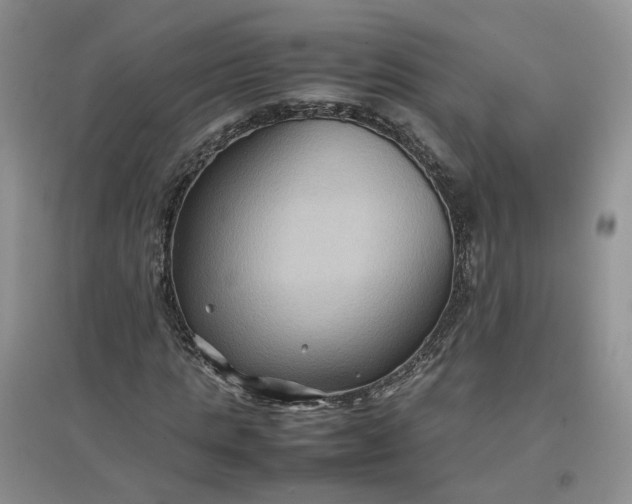 X0000097660821200803142130
