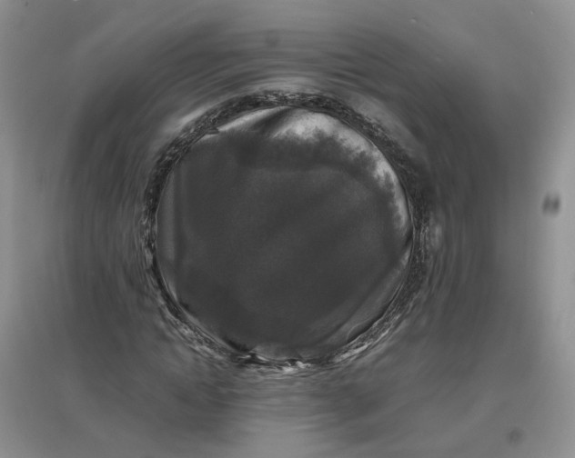 X0000097660822200803142130