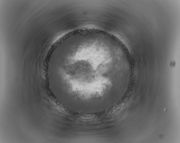 X0000097660823200803142130