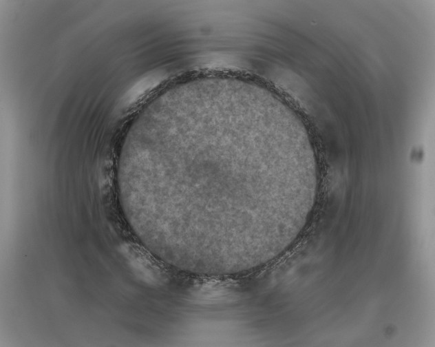 X0000097660824200803142130