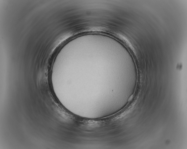 X0000097660827200803142130