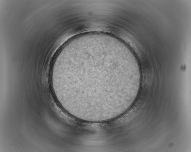 X0000097660828200803142130