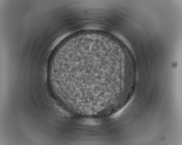 X0000097660829200803142130