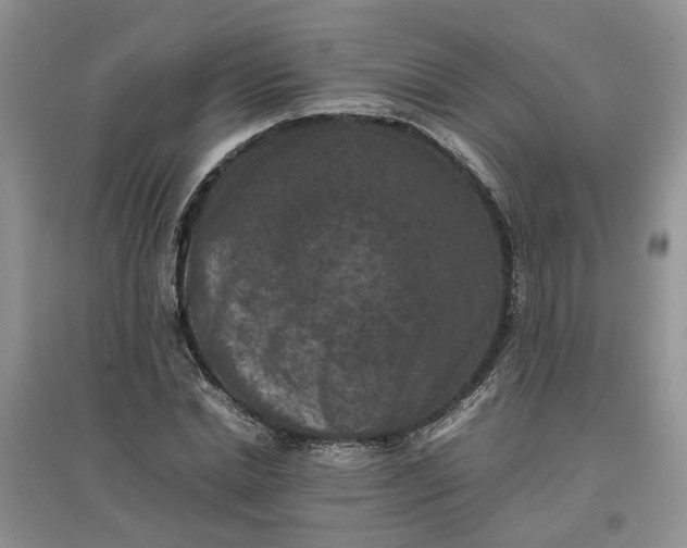 X0000097660830200803142130