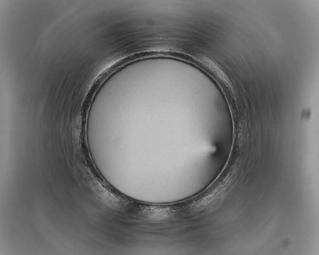 X0000097660831200803142130