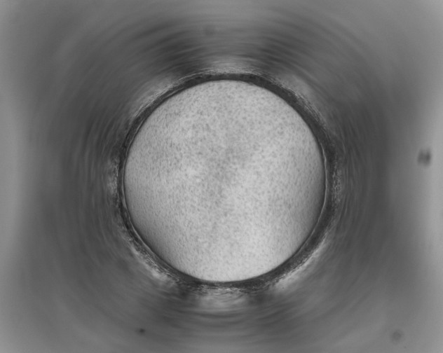 X0000097660833200803142130
