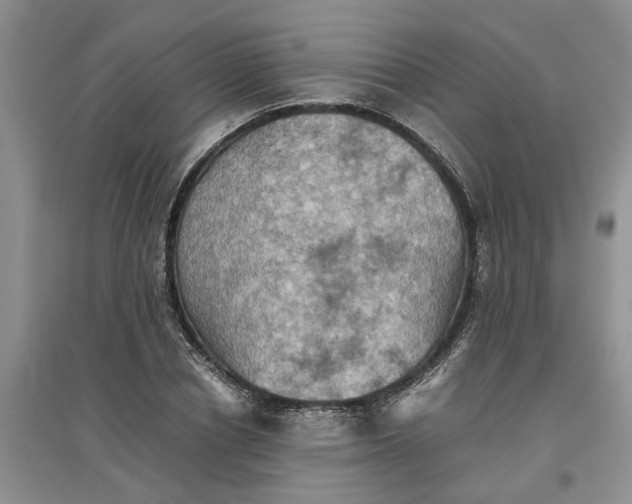 X0000097660834200803142130