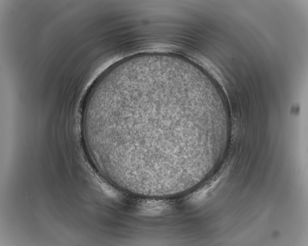 X0000097660835200803142130