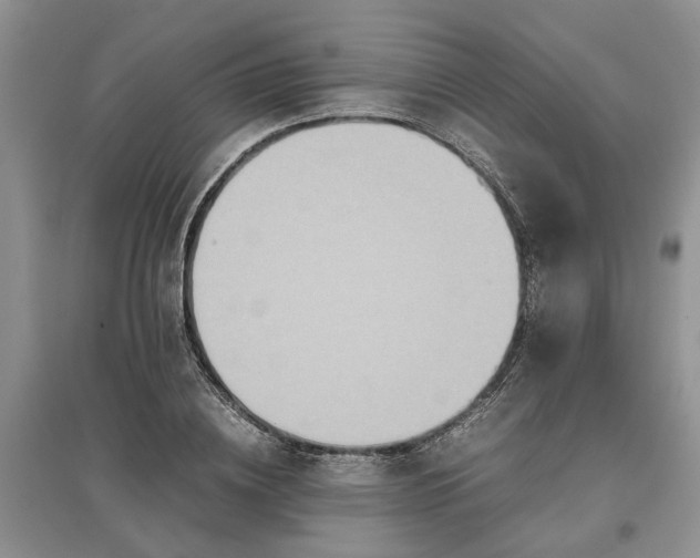 X0000097660836200803142130