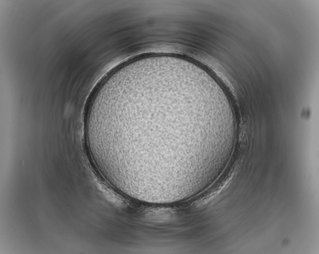 X0000097660837200803142130