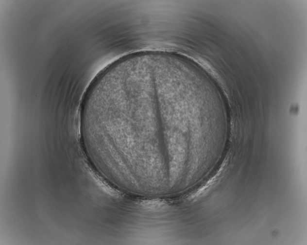 X0000097660838200803142130
