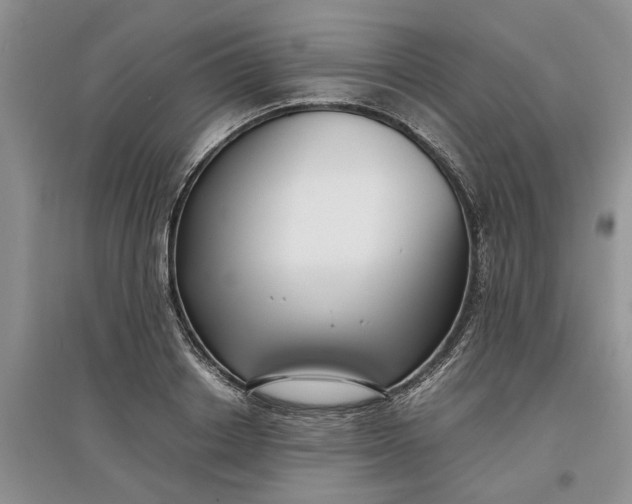 X0000097660842200803142130