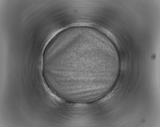 X0000097660844200803142130