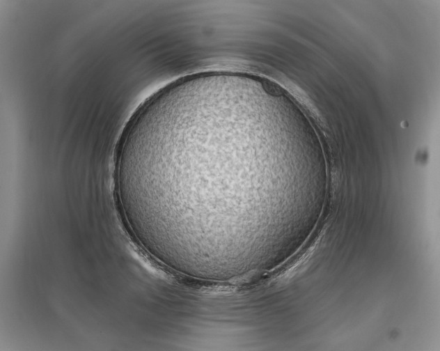 X0000097660846200803142130