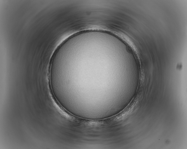 X0000097660847200803142130