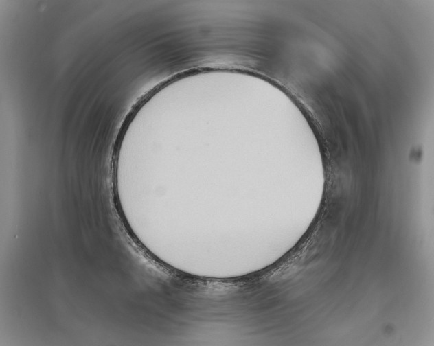 X0000097660848200803142130