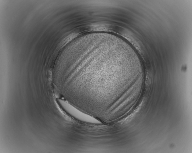 X0000097660849200803142130