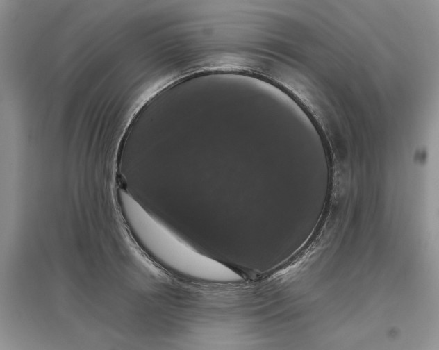 X0000097660850200803142130