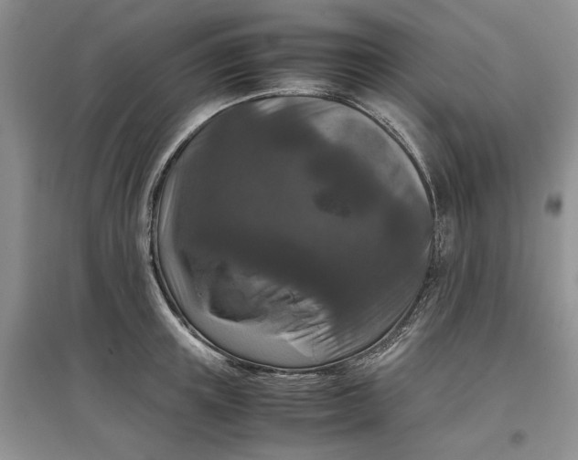 X0000097660851200803142130