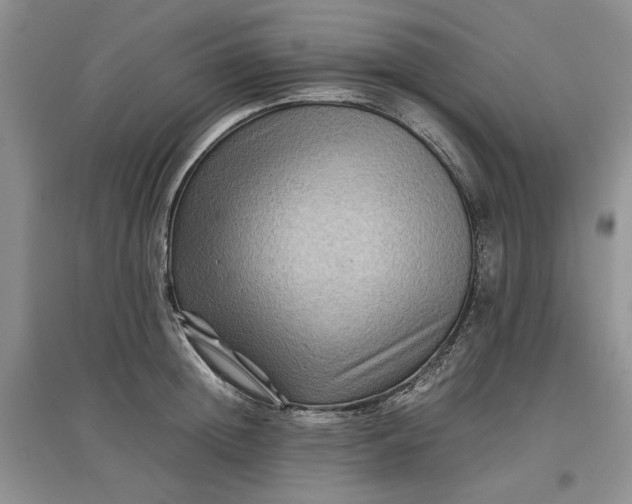 X0000097660852200803142130