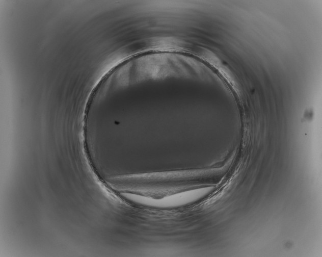 X0000097660853200803142130