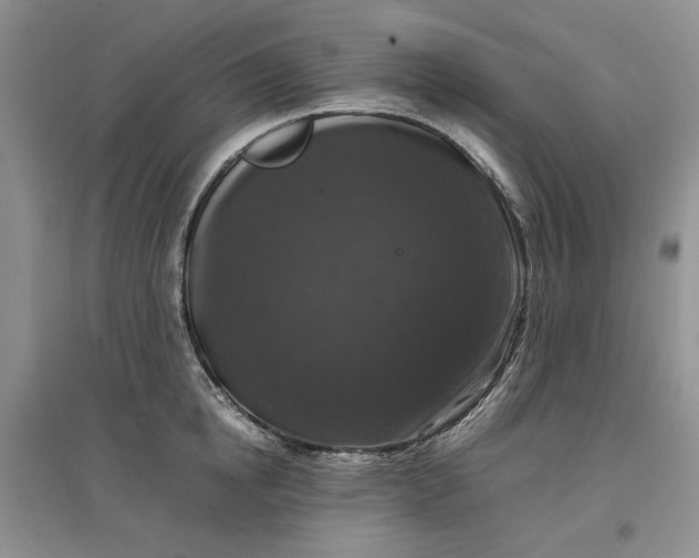 X0000097660854200803142130