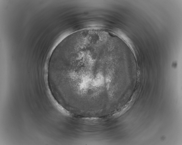 X0000097660859200803142131