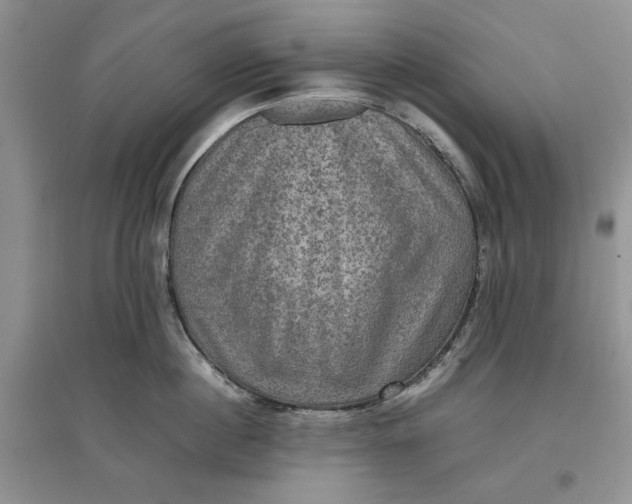 X0000097660860200803142131