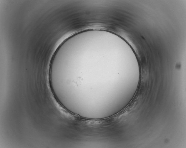 X0000097660861200803142131