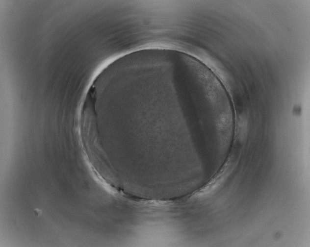 X0000097660862200803142131