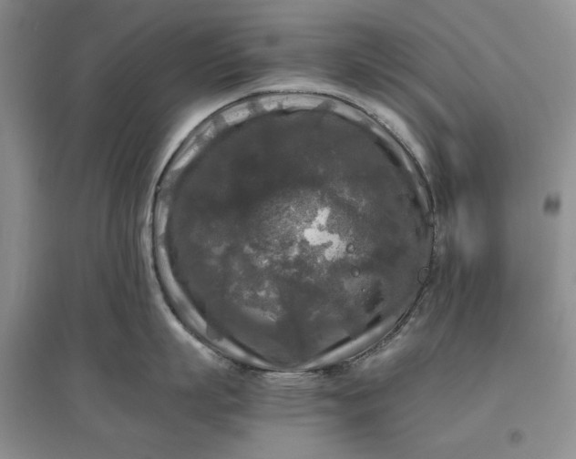 X0000097660863200803142131