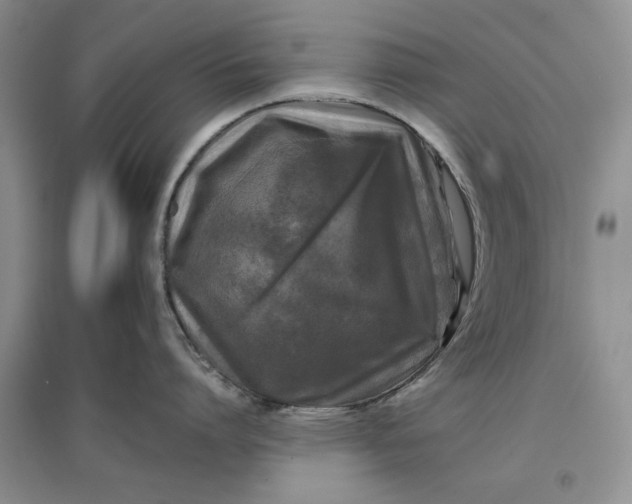 X0000097660864200803142131