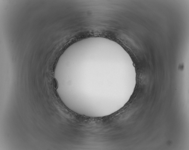 X0000097660865200803142130