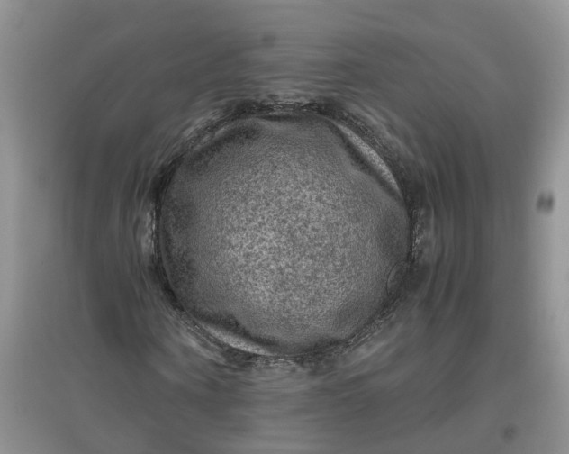 X0000097660866200803142130