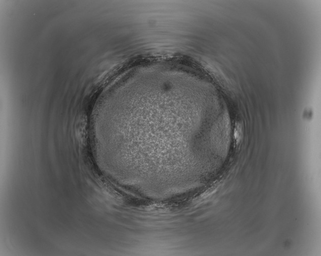 X0000097660867200803142130