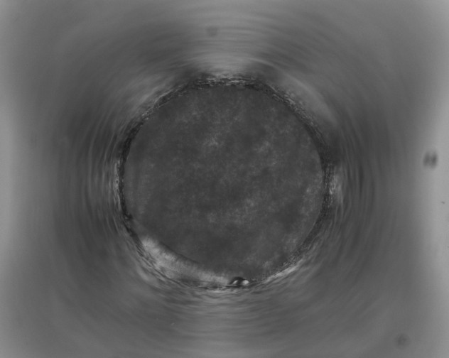 X0000097660868200803142130
