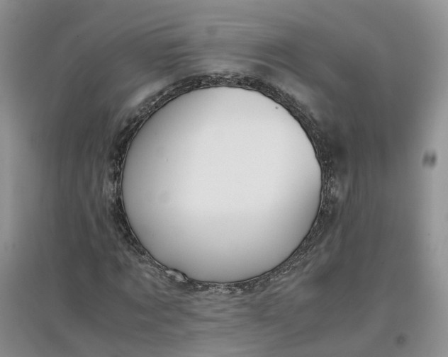 X0000097660869200803142130