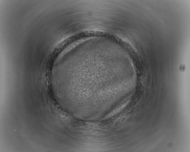 X0000097660870200803142130