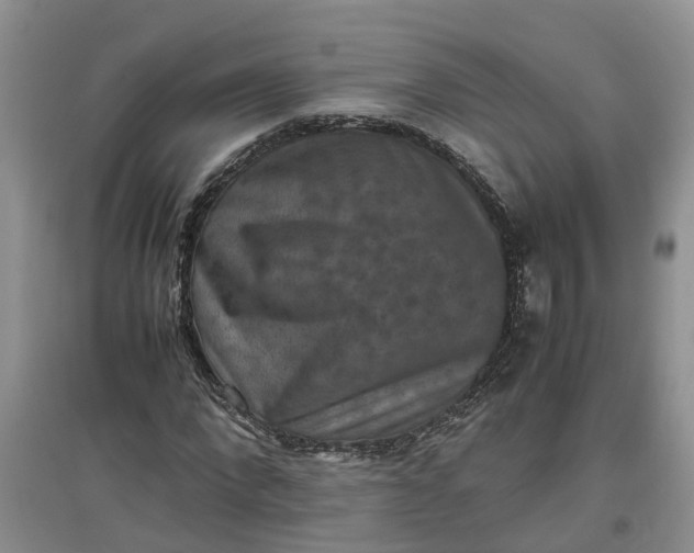 X0000097660872200803142130