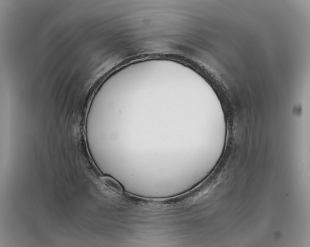 X0000097660873200803142130