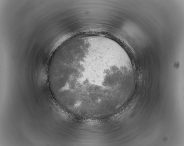 X0000097660874200803142130