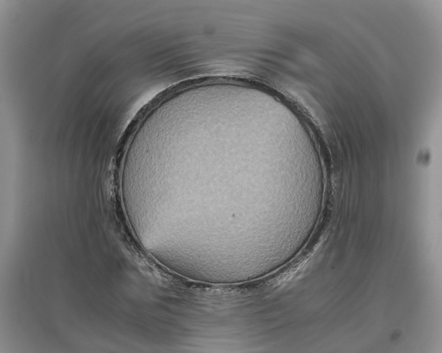 X0000097660875200803142130