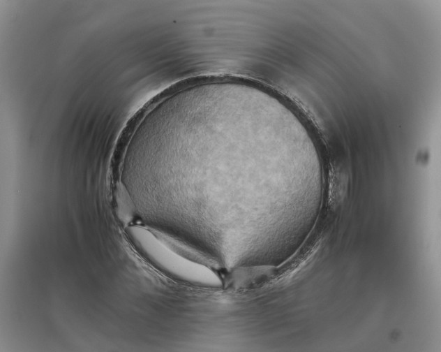 X0000097660876200803142130