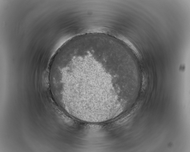 X0000097660878200803142130