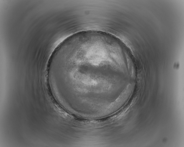 X0000097660879200803142130