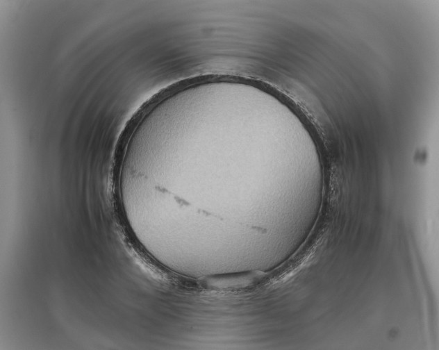 X0000097660880200803142130